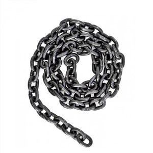 Chaîne de levage BST de haute qualité En818-2 standard G80